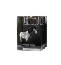 Cheval islandais - Bougeoir avec image d'un cheval, porte bougie en cristal, cadeau personnalisé par la marque Art-Dog