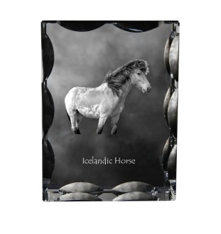 Icelandic Horse - kryształ ze zdjęciem konia, szklana statuetka ze zdjęciem, wyjątkowa ramka ze zdjęciem marki Art-Dog