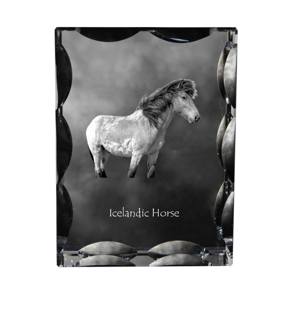 Islandpferd - crystal with a picture of a horse, glass statuette with a picture, unique frame with a picture from Art-Dog brand