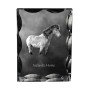 Islandpferd - crystal with a picture of a horse, glass statuette with a picture, unique frame with a picture from Art-Dog brand