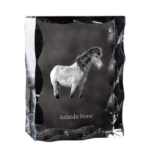 Islandpferd - crystal with a picture of a horse, glass statuette with a picture, unique frame with a picture from Art-Dog brand