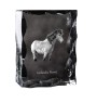 Islandpferd - crystal with a picture of a horse, glass statuette with a picture, unique frame with a picture from Art-Dog brand