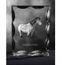 Islandpferd - crystal with a picture of a horse, glass statuette with a picture, unique frame with a picture from Art-Dog brand