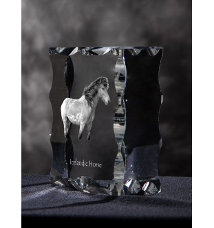 Islandpferd - crystal with a picture of a horse, glass statuette with a picture, unique frame with a picture from Art-Dog brand