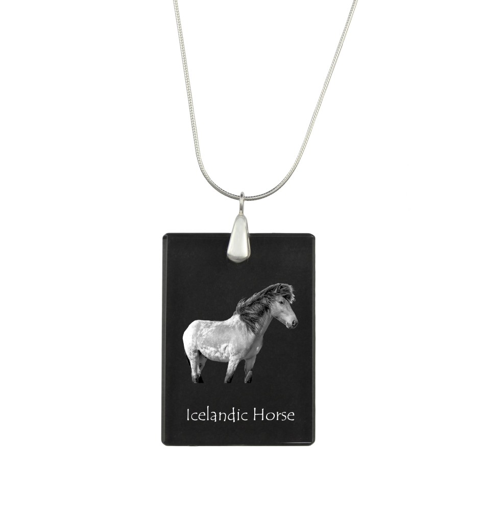 Islandpferd - Crystal pendant with horse, silver necklace with photo, personalised pendant by Art-Dog brand
