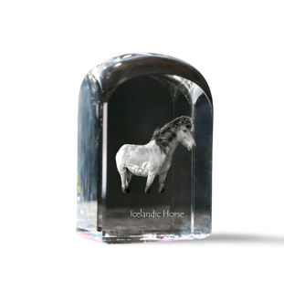 Cheval islandais - un cube de cristal avec une photo, une photo de cheval dans le cristal, un presse-papiers cubique de la marque Art-Dog