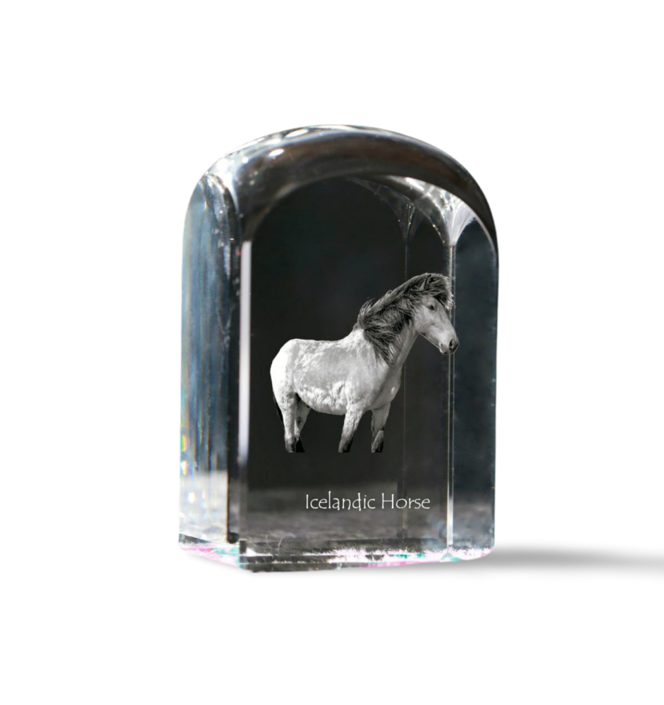 Cheval islandais - un cube de cristal avec une photo, une photo de cheval dans le cristal, un presse-papiers cubique de la marque Art-Dog