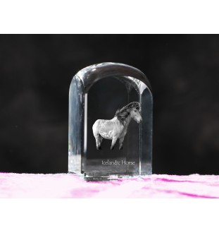Cheval islandais - un cube de cristal avec une photo, une photo de cheval dans le cristal, un presse-papiers cubique de la marque Art-Dog