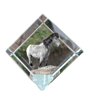 Islandpferd - Kristallwürfel mit Pferdebild, Pferdebild im Kristall, sechseckiger Papierclip der Marke Art-Dog