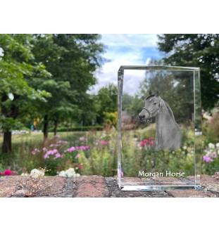 Cheval Morgan - cristal avec une photo de cheval, photo sous verre, exposition moderne de la marque de photos Art-Dog