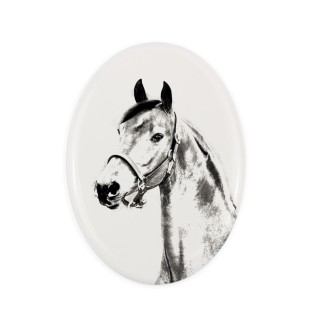 Morgan płyta nagrobna z koniem Art-Dog