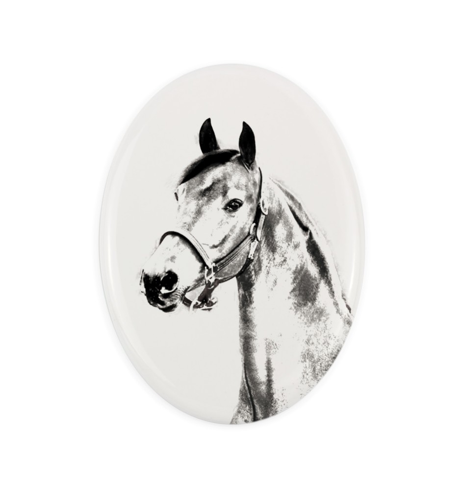 Morgan Horse - commemorative plaque with a photo of a horse, tombstone plaque with a print, personalized oval plaque by Art-Dog brand