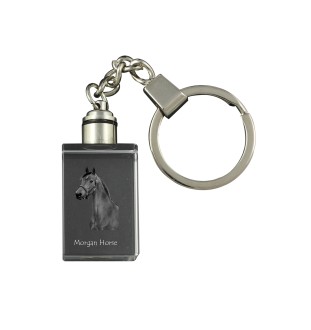 Morgan Horse - Crystal pendant with photo of a horse, illuminated pendant, unique gift by Art-Dog brand