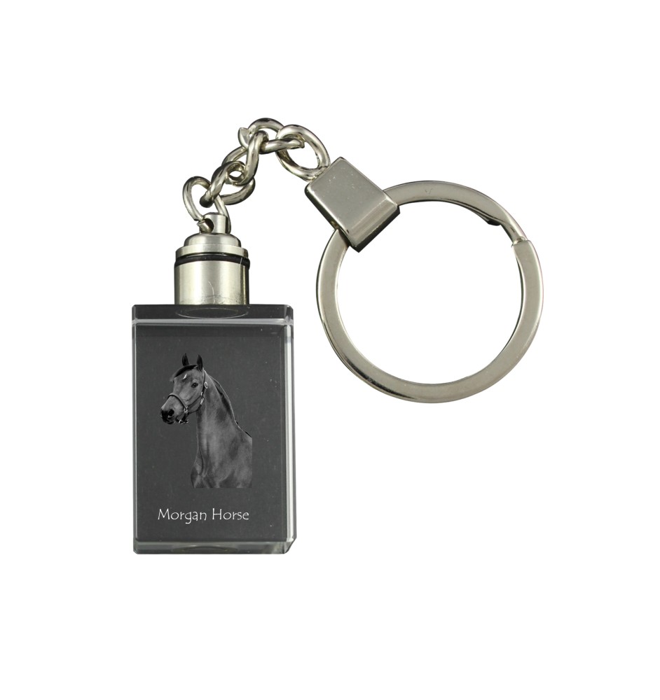 Cheval Morgan - Pendentif en cristal avec photo de cheval, pendentif lumineux, cadeau unique de la marque Art-Dog