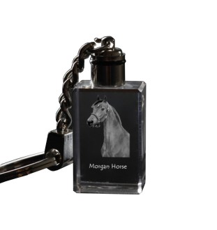 Morgan Pferd - Kristall-Anhänger mit Foto eines Pferdes, beleuchteter Anhänger, einzigartiges Geschenk der Marke Art-Dog