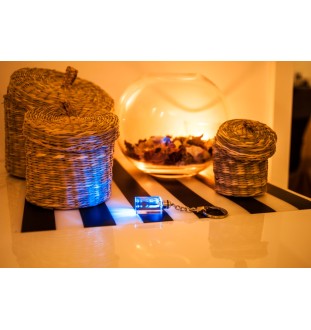 Morgan Horse - Crystal pendant with photo of a horse, illuminated pendant, unique gift by Art-Dog brand