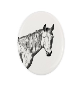 Namib Desert Horse - commemorative plaque with a photo of a horse, tombstone plaque with a print, personalized oval plaque by Art-Dog brand