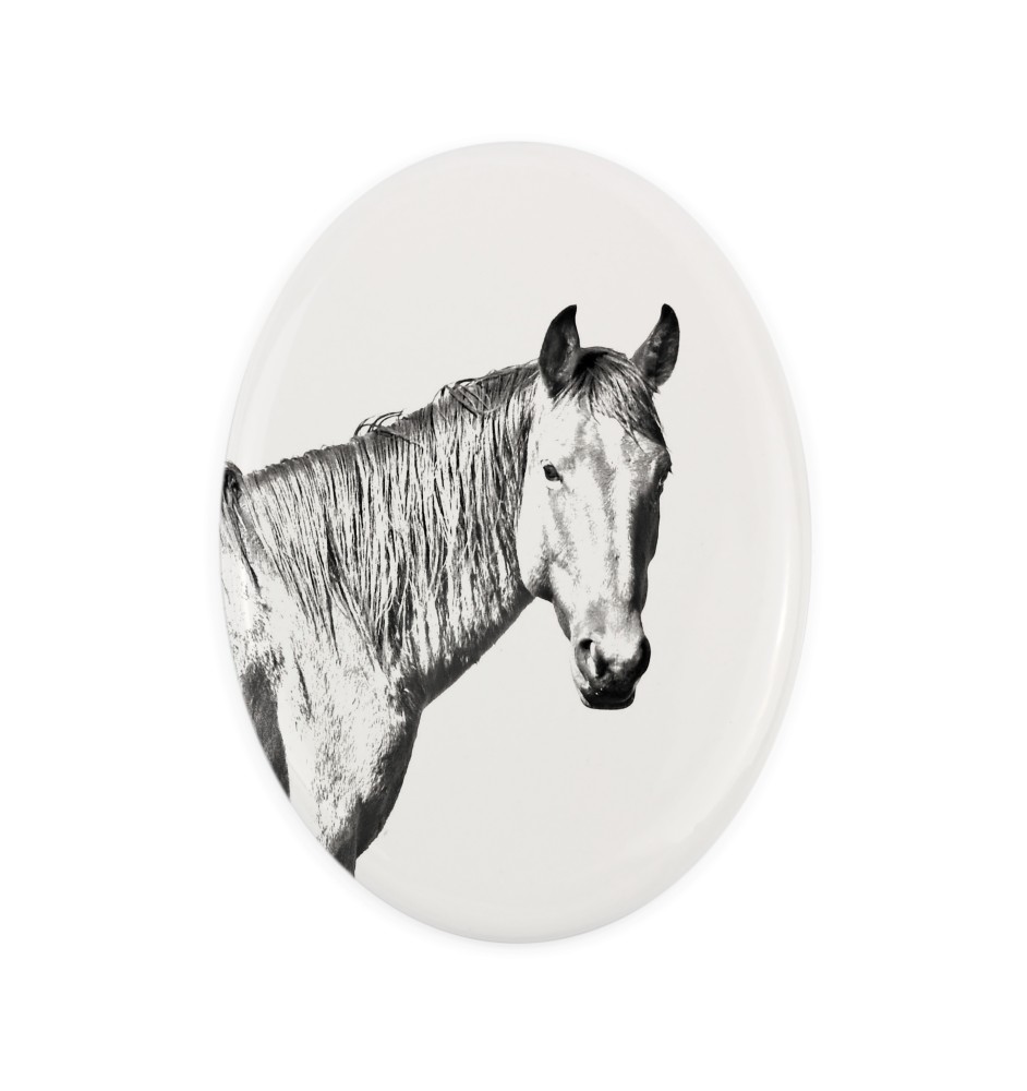 Namib-Wüstenpferd - Gedenktafel mit einem Pferdefoto, Grabplatte mit Druck, personalisierte ovale Platte von Art-Dog.