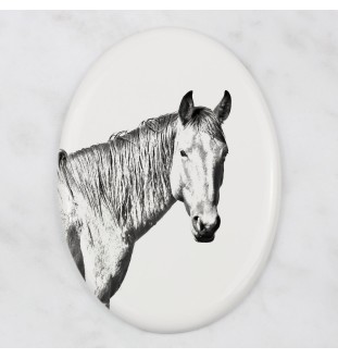 Namib Desert Horse - commemorative plaque with a photo of a horse, tombstone plaque with a print, personalized oval plaque by Art-Dog brand