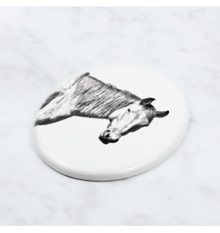 Namib-Wüstenpferd - Gedenktafel mit einem Pferdefoto, Grabplatte mit Druck, personalisierte ovale Platte von Art-Dog.