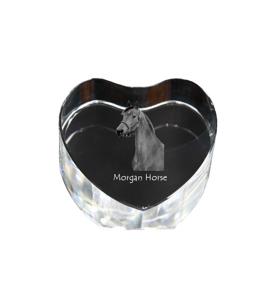 Morgan Pferd - Pferdefoto im Kristall, Kristallherz, einzigartiger Bilderrahmen der Marke Art-Dog
