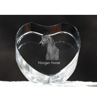 Morgan Pferd - Pferdefoto im Kristall, Kristallherz, einzigartiger Bilderrahmen der Marke Art-Dog