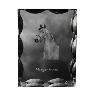 Morgan Horse - kryształ ze zdjęciem konia, szklana statuetka ze zdjęciem, wyjątkowa ramka ze zdjęciem marki Art-Dog