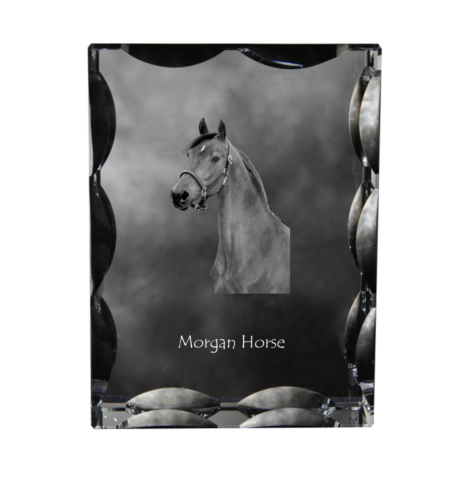 Morgan Pferd - crystal with a picture of a horse, glass statuette with a picture, unique frame with a picture from Art-Dog brand