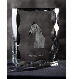 Morgan Horse - kryształ ze zdjęciem konia, szklana statuetka ze zdjęciem, wyjątkowa ramka ze zdjęciem marki Art-Dog