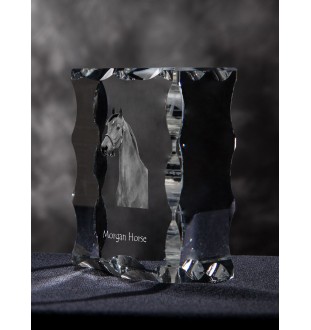 Morgan Horse - kryształ ze zdjęciem konia, szklana statuetka ze zdjęciem, wyjątkowa ramka ze zdjęciem marki Art-Dog