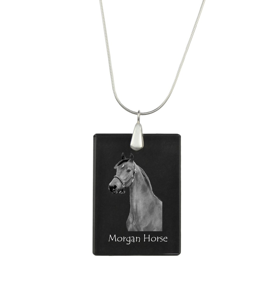 Morgan Pferd - Crystal pendant with horse, silver necklace with photo, personalised pendant by Art-Dog brand