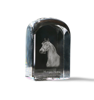 Morgan Horse - crystal cube with a photo, photo of a horse in crystal, cubic paperweight from Art-Dog brand
