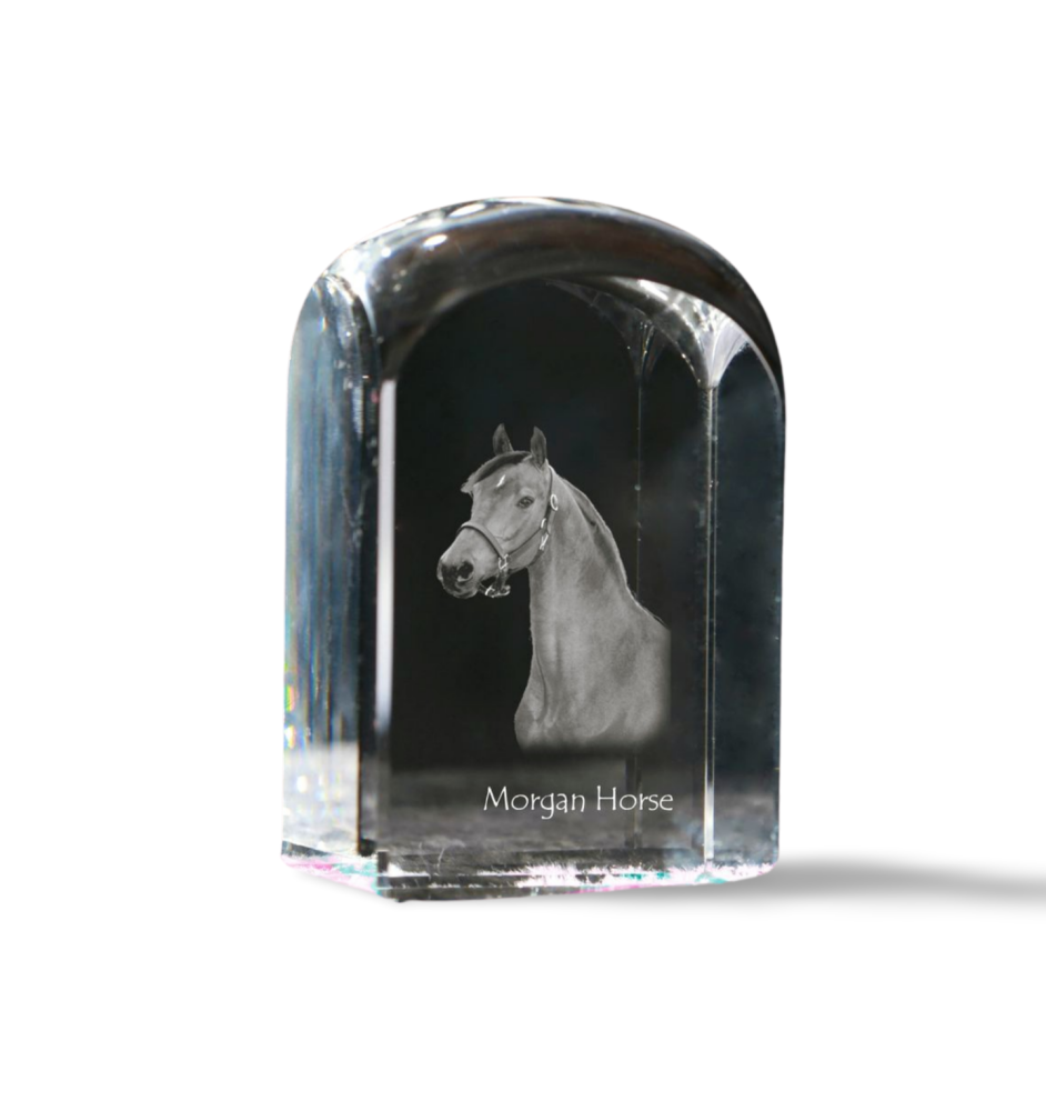 Cheval Morgan - un cube de cristal avec une photo, une photo de cheval dans le cristal, un presse-papiers cubique de la marque Art-Dog