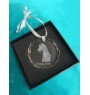 Morgan Horse - crystal bauble with a photo, horse photo in crystal, personalized Christmas tree ornament by Art-Dog brand