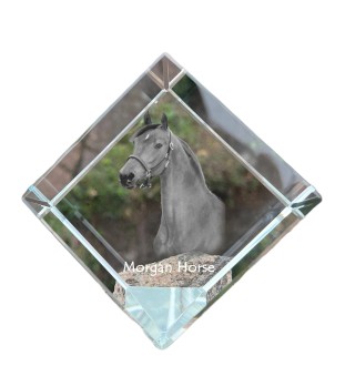 Morgan Pferd - Kristallwürfel mit Pferdebild, Pferdebild im Kristall, sechseckiger Papierclip der Marke Art-Dog