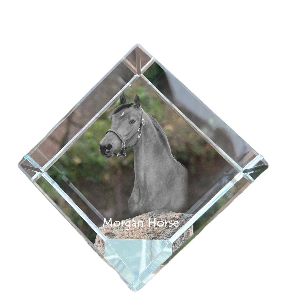 Morgan Horse - crystal cube with a horse picture, horse picture in crystal, cubic paperweight from Art-Dog brand
