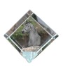 Morgan Horse - crystal cube with a horse picture, horse picture in crystal, cubic paperweight from Art-Dog brand