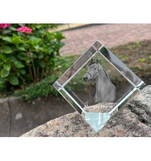 Morgan Horse - crystal cube with a horse picture, horse picture in crystal, cubic paperweight from Art-Dog brand