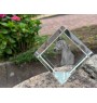 Cheval Morgan - un cube de cristal avec une photo de cheval, une photo de cheval dans le cristal, un presse-papiers cubique de la marque Art-Dog