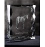 Namib-Wüstenpferd - crystal with a picture of a horse, glass statuette with a picture, unique frame with a picture from Art-Dog brand