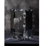 Namib-Wüstenpferd - crystal with a picture of a horse, glass statuette with a picture, unique frame with a picture from Art-Dog brand