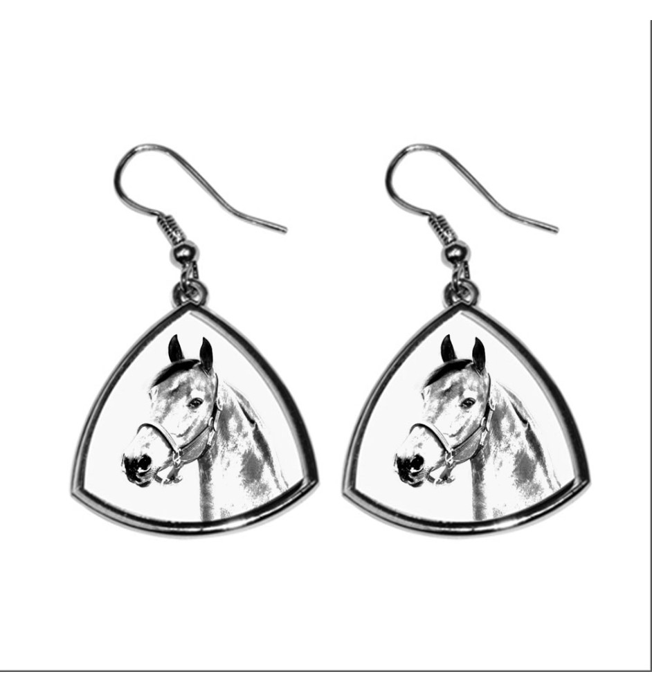 Morgan Pferd - Pferdeohrringe, hängende Ohrringe mit einem Bild, personalisierter Schmuck mit dem Aufdruck der Marke Art-Dog