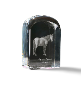 Namib Desert Horse - crystal cube with a photo, photo of a horse in crystal, cubic paperweight from Art-Dog brand