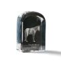 Cheval du désert de Namibie - un cube de cristal avec une photo, une photo de cheval dans le cristal, un presse-papiers cubique de la marque Art-Dog