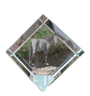 Namib Desert Horse - crystal cube with a horse picture, horse picture in crystal, cubic paperweight from Art-Dog brand