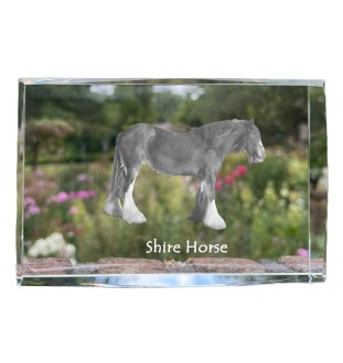 Shire-Pferd - Kristall mit einem Pferdebild, Bild im Glas, moderne Ausstellung des Art-Dog-Bildes.