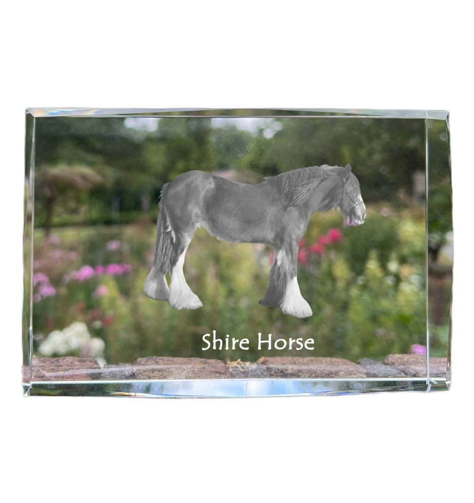 Shire-Pferd - Kristall mit einem Pferdebild, Bild im Glas, moderne Ausstellung des Art-Dog-Bildes.