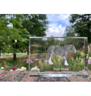 Shire-Pferd - Kristall mit einem Pferdebild, Bild im Glas, moderne Ausstellung des Art-Dog-Bildes.