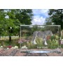 Shire Horse - crystal with a picture of a horse, photo in glass, modern exhibition of Art-Dog brand photo