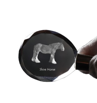 Shire-Pferd - pendant with a picture of a horse, crystal key ring in a gift box, unique gift by Art-Dog brand